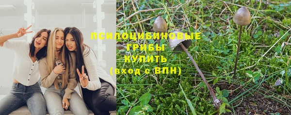 ECSTASY Костерёво