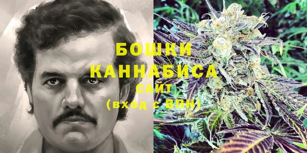 ECSTASY Костерёво