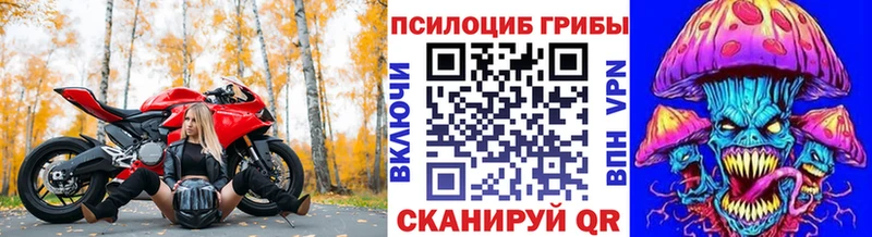Псилоцибиновые грибы мицелий  Купить  Надым 